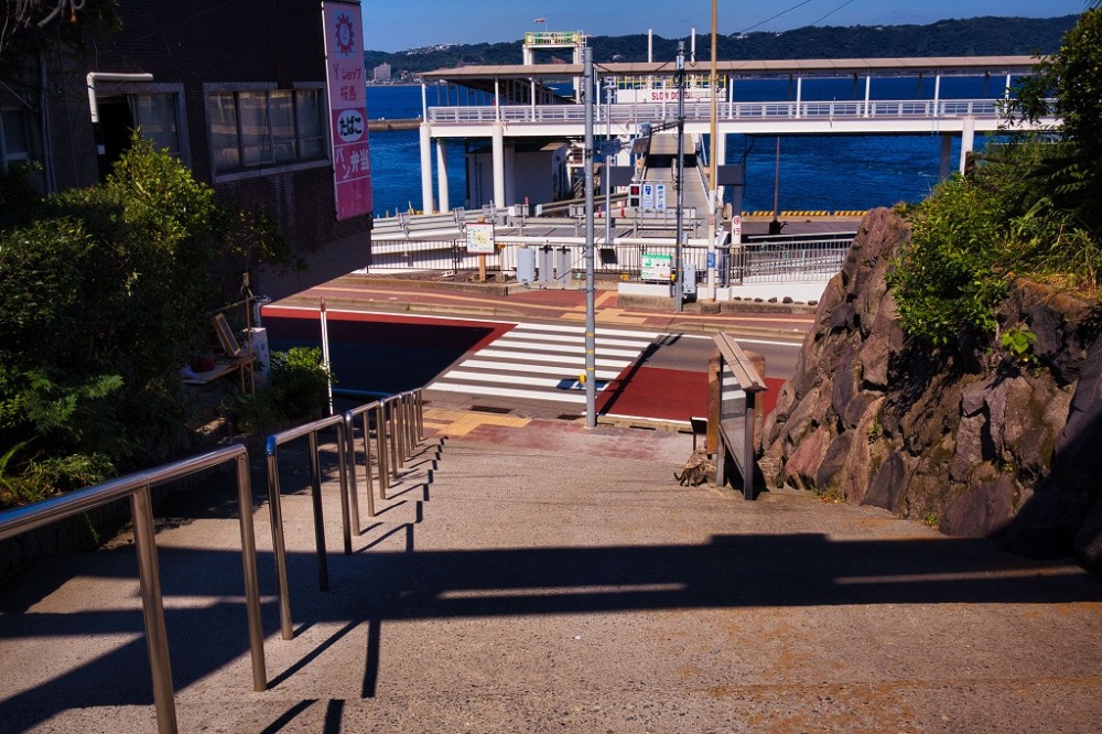 月讀神社の階段から見た横断歩道と桜島フェリーターミナル