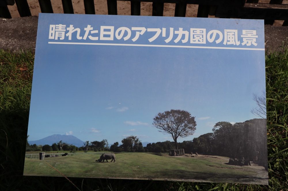 良い天気の日の平川動物公園