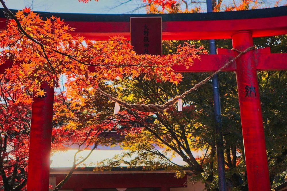 大野嶽神社の鳥居と紅葉